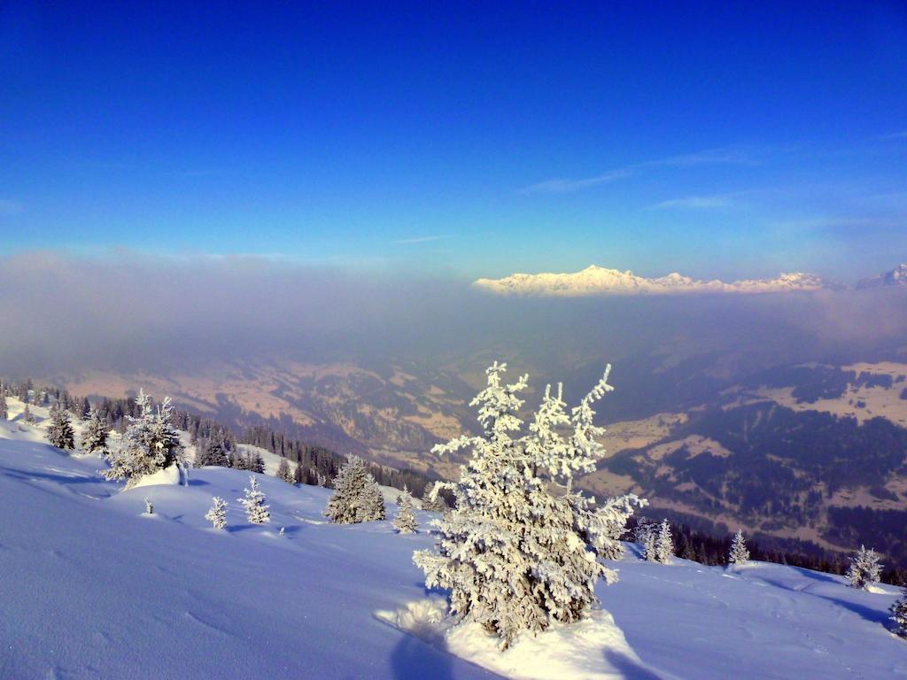 Landgasthof Sommerfeld Pragg-Jenaz Esterno foto